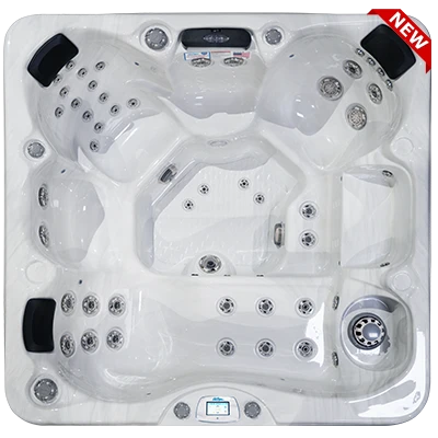 Avalon-X EC-849LX hot tubs for sale in Diamondbar